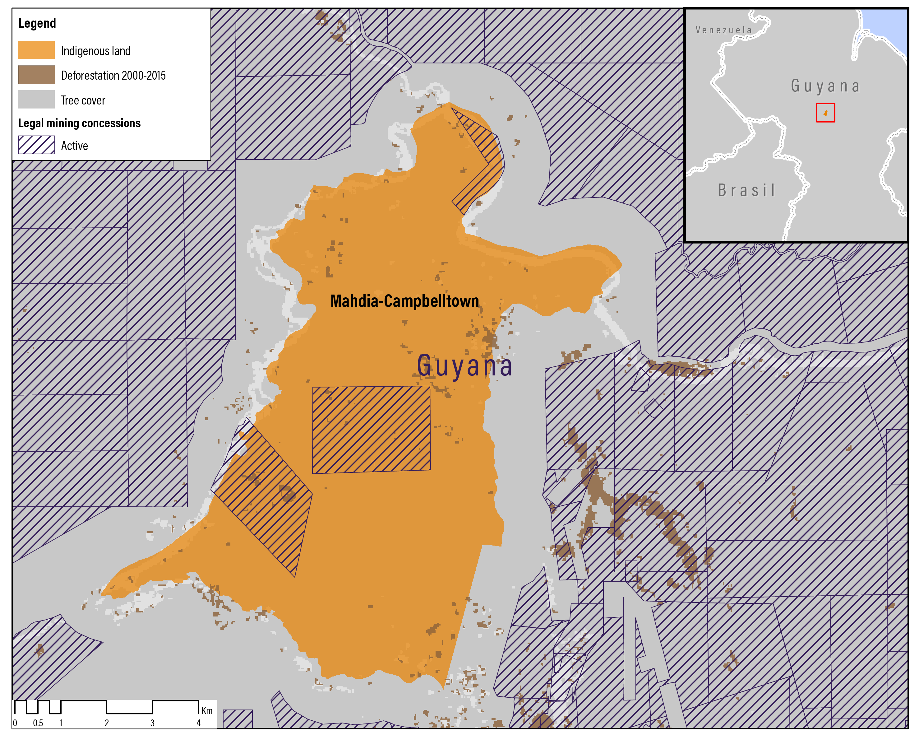 Rainforest Mafias: How Violence and Impunity Fuel Deforestation in Brazil's