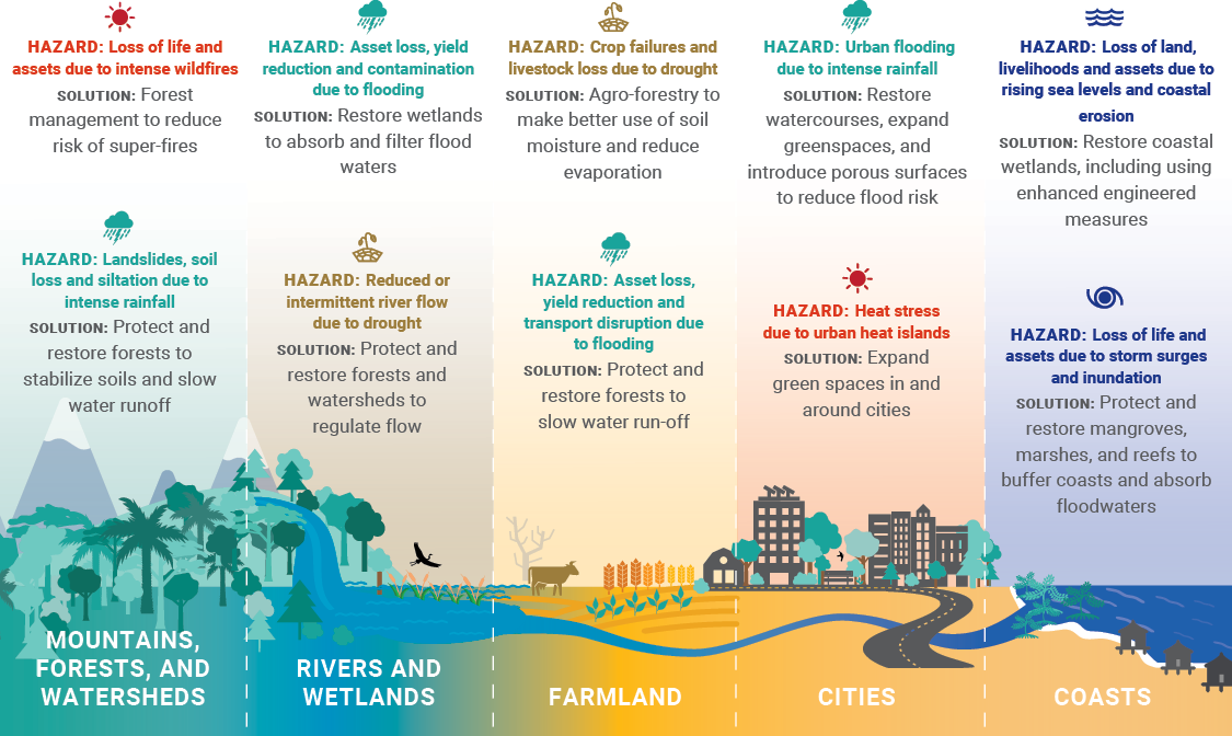 Good Practice Brief: South-South Cooperation for Upscaling Nature-based  Solutions for Climate Adaptation